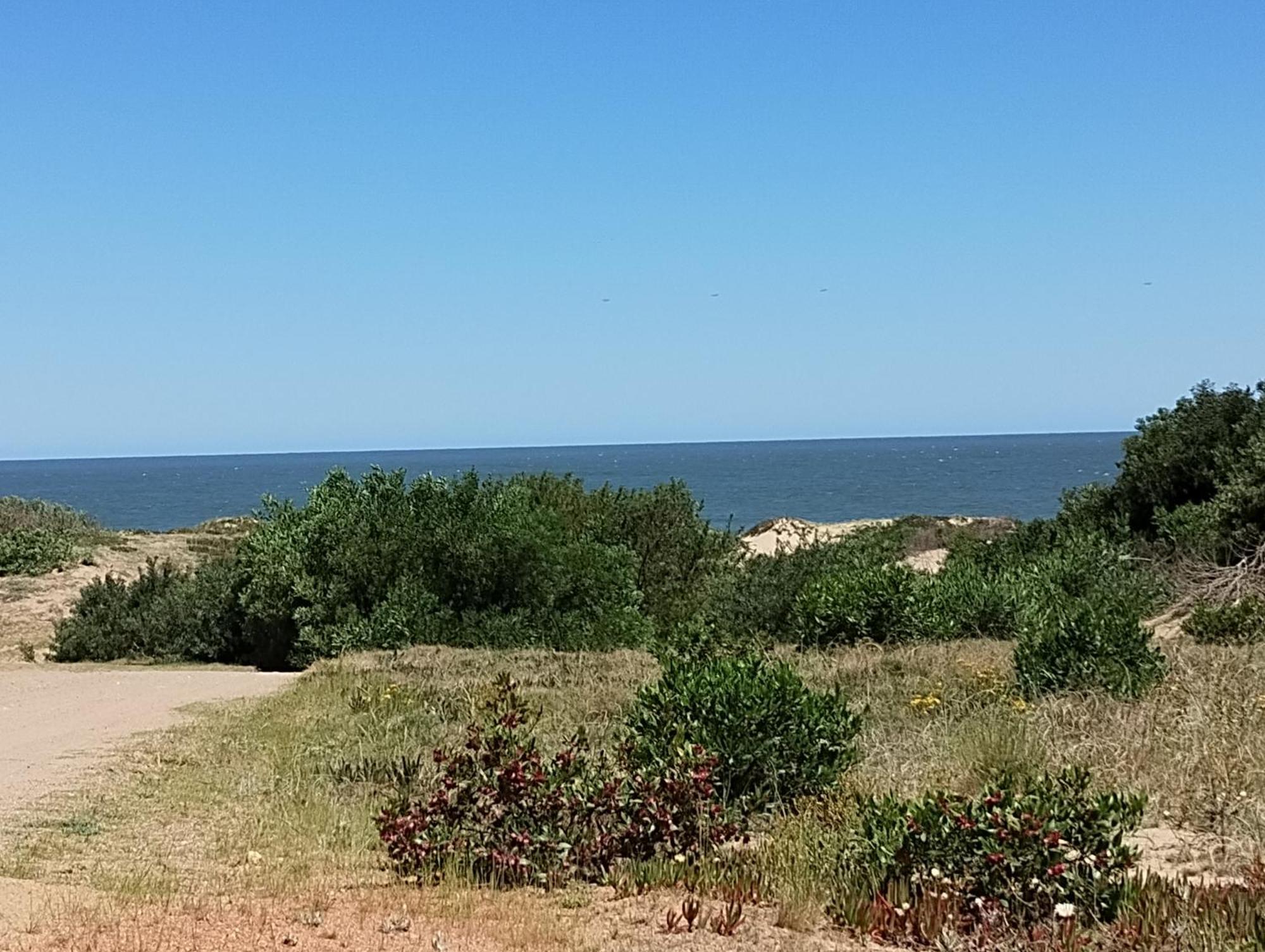 Bosque Mar * Ocean Park